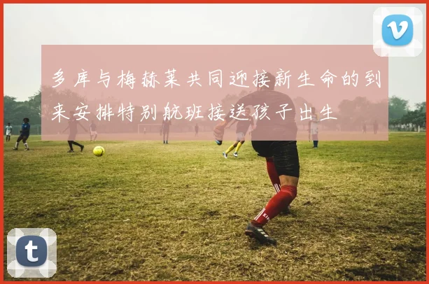 多库与梅赫莱共同迎接新生命的到来安排特别航班接送孩子出生