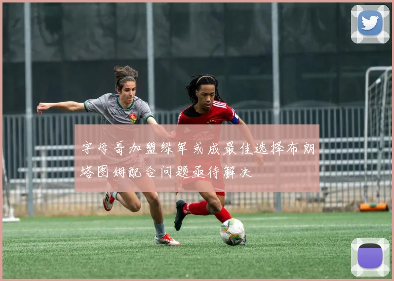 字母哥加盟绿军或成最佳选择布朗塔图姆配合问题亟待解决