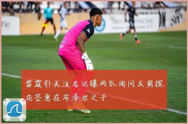 雷霆引关注名记曝两队询问灰熊探花签意在布泽尔之子